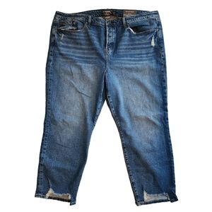 Torrid High Rise Straight Jeans